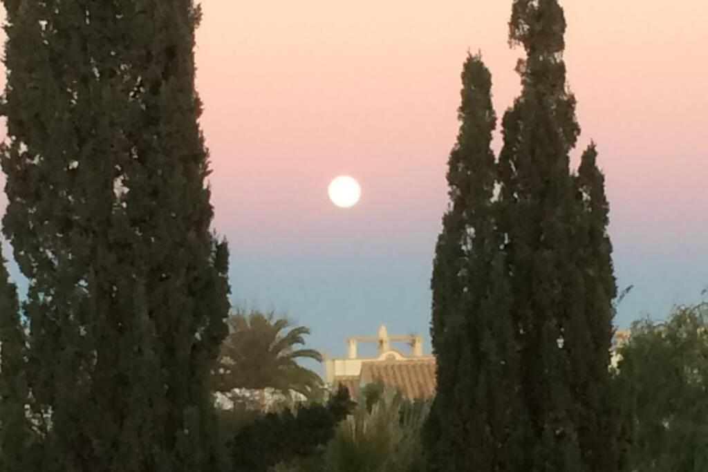 אוריהואלה Privates Ferienhaus Villa De Paz - Costa Blanca מראה חיצוני תמונה